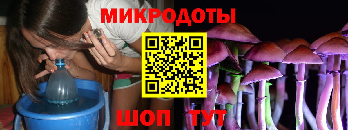 Псилоцибиновые грибы MAGIC MUSHROOMS Полевской