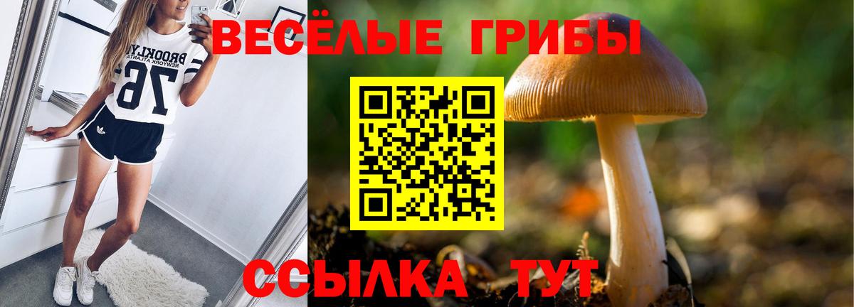 Псилоцибиновые грибы мицелий  Вход с VPN  Полевской 